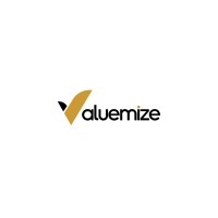 VALUEMIZE ENTERPRISE logo - Similar company to Moddtech Media Ltd
