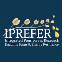 IPREFER logo - Similar company to Sofiane Boumedine