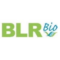 BLR Bio logo - Similar company to Up Oncolytics, Inc