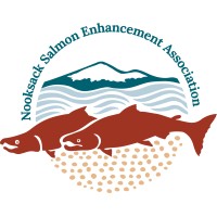 Nooksack Salmon Enhancement Association logo - Similar company to Future Of Fish