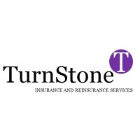 TurnStone Insurance & Reinsurance Services logo - Similar company to Otter Audit And Consultancy Services Ltd