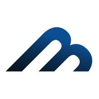 Blue Maven IT logo - Similar company to Reo-Usa, Inc.