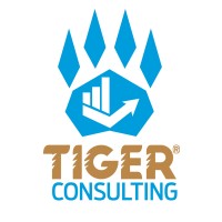 TIGER Consulting logo - Similar company to Linton Advisory Group