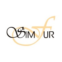 SIMFUR DESIGN SDN BHD logo - Similar company to Wafer Plus Sdn. Bhd.