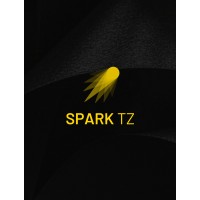 Spark Tz logo - Similar company to Max Ayo Consultancy