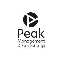 Peak Management and Consulting logo - Similar company to Peak Consultancy