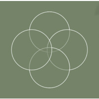 Positive Coaching Lab | UCC logo - Similar company to Budge Podcast