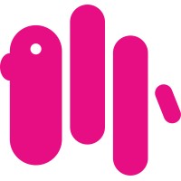 Pink Camel Consultancy Services logo - Similar company to Koder