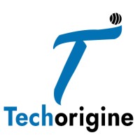 Techorigine IT Solution logo - Similar company to Oneweblink Pvt Ltd