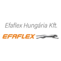 EFAFLEX Hungária Kft. logo - Similar company to Evocrm