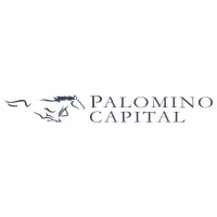 Palomino Capital, LLC logo - Similar company to Juniper Equity Llc