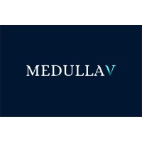 Medullav technologies Pvt Ltd logo - Similar company to Kvayat Medical