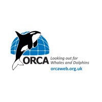 ORCA (Organisation Cetacea) logo - Similar company to Bottlenose Dolphin Research Institute - Bdri