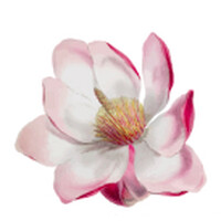 Magnolia Community Health Pvt. Ltd. logo - Similar company to Tvmanager