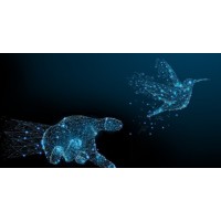 A time Capsule logo - Similar company to Obis S.A