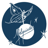 Melquiades y Merlín S.L. logo - Similar company to Programas De Fidelización E Incentivos - Acl Directpromo