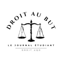 Droit au but logo - Similar company to Jurivision.Ca