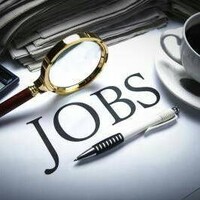Job Portal Pakistan logo - Similar company to Flowphoenix