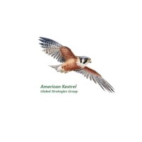 American Kestrel Global Strategies logo - Similar company to Invictus Strategic Solutions