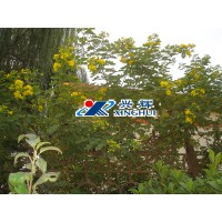 Shandong Xinghui Chemical Co., Ltd. logo - Similar company to Asphalt Pavement Solutions Corp