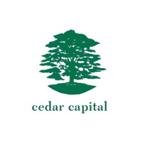辛达投资 Cedar Capital logo - Similar company to Alba Private Equity