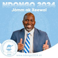 Ndongo Ndiaye logo - Similar company to Dundu