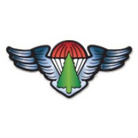 National Smokejumper Association logo - Similar company to Hoffman Boots