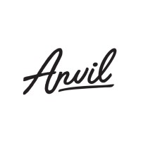 Anvil Strategy logo - Similar company to Axis Analytics