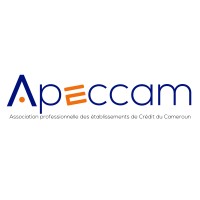 APECCAM logo - Similar company to Brainsoft Solutions