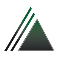 Delta Servicios Financieros logo - Similar company to Rsm Ve