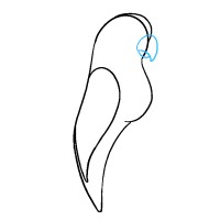 Parrot Resourcing logo - Similar company to Pro-Resourcing Ltd