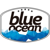 Blue Ocean logo - Similar company to Growth Hacking And Outbound Marketing