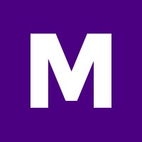 Mesh logo - Similar company to Wolverinesoft