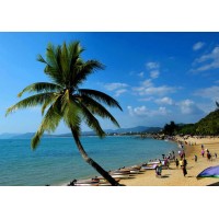 Abas Travel Agency logo - Similar company to Dtg Corporate Travel