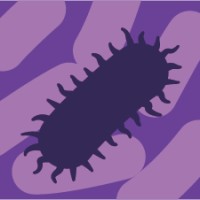 Bacteria MDPI logo - Similar company to Veterinary Sciences Mdpi