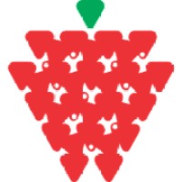 Strawberry Fields High School logo - Similar company to Bharatiya Vidya Bhavan'S Bhavan Vidyalaya, Panchkula