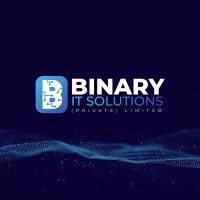 Binary IT Solutions Pvt Ltd. logo - Similar company to Binary It Solutions Llc
