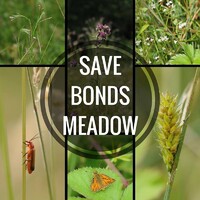 Save Bonds Meadow logo - Similar company to Cxo Helix & Ask.Listen.Solve