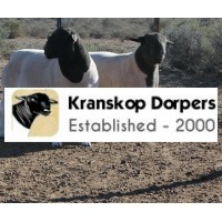 Kranskop Dorpers logo - Similar company to Elevate Forklift & Access Pty Ltd