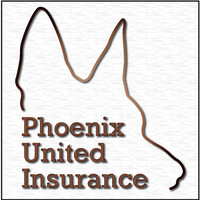 Phoenix United Insurance logo - Similar company to Vibras