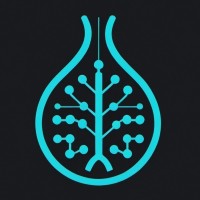 Applied Insights Consulting LLC logo - Similar company to Process By Design Cmc Consulting, Llc