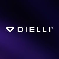 Dielli Jewelry logo - Similar company to Resilience & Security Frameworks