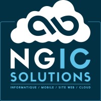 NGIC Solutions logo - Similar company to Ngic Afrique