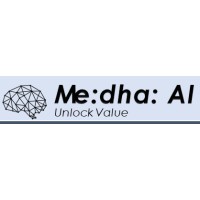 Medha AI LLC logo - Similar company to Toolka Enterprise Software Solution Pvt Ltd