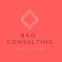 BAO Consulting logo - Similar company to Fadain Digitals