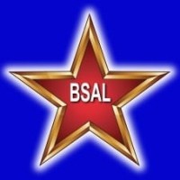 Blue Star Textile Dyeing logo - Similar company to Kajran Textile Co. L.L.C