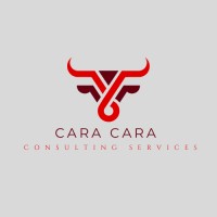 Cara Cara Consulting Services LLC logo - Similar company to Lamarsh Global