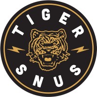 TIGERSNUS logo - Similar company to Pt. Data Global Komukatama
