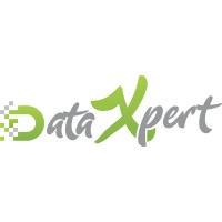 DataXpert logo - Similar company to Datashark Consultancy