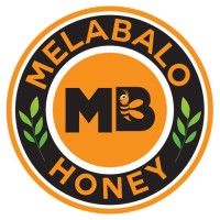 Melabalo pvt ltd logo - Similar company to Techno Global Services Pvt Ltd
